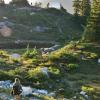 Mountain Lake Hut Trail