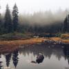 Hollyburn Mountain