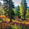 Elfin Lakes