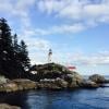 Shore Pine Trail