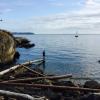 Shore Pine Trail