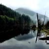 Lindsay Lake Loop