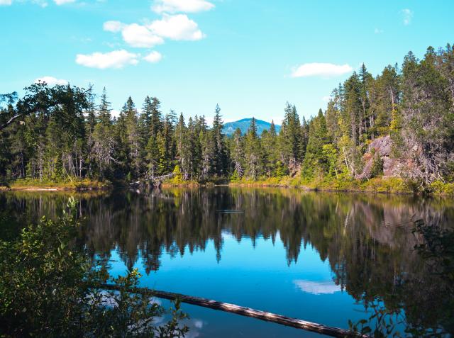 Swim Lake Trail