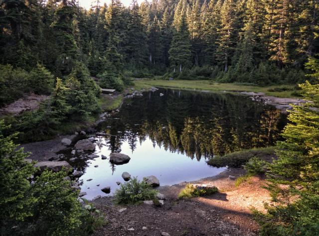 Dog Mountain Trail