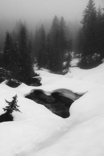 Flora Lake Trail