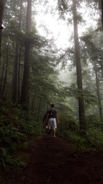 Big Cedar And Kennedy Falls Trail