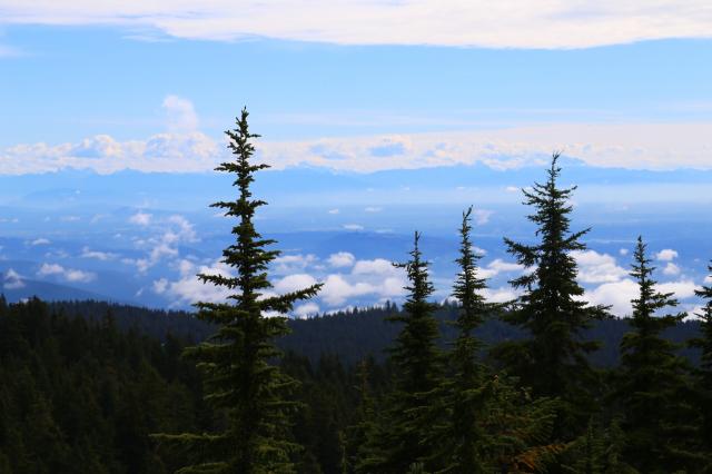 Black Mountain Trail To Eagles Bluff