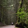 Gold Creek Falls