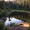 Dog Mountain Trail