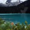 Joffre lakes