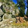 Mt. Seymour hike