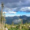 Needle Peak