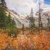 Joffre Lakes