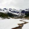 Brandywine Meadows