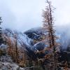 Mt Frosty and Larch Grove