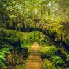 Hot springs trail