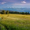 Trophy Mountain Flower Meadows