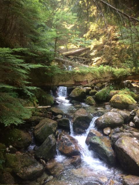 Radium Lake Trail