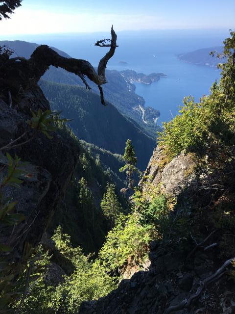 St. Mark's Summit