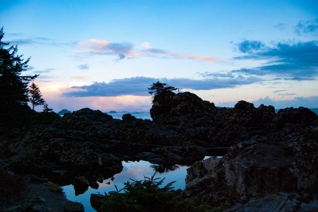 Wild Pacific Trail
