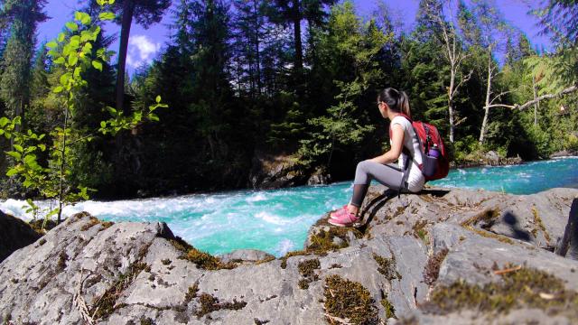Whistler Interpretive Forest