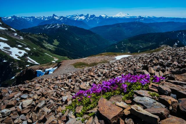 Mount Cheam