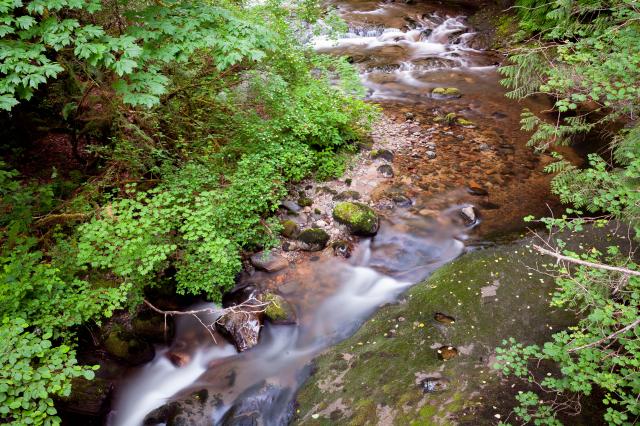 North Fork Loop Trail - Cliff Falls