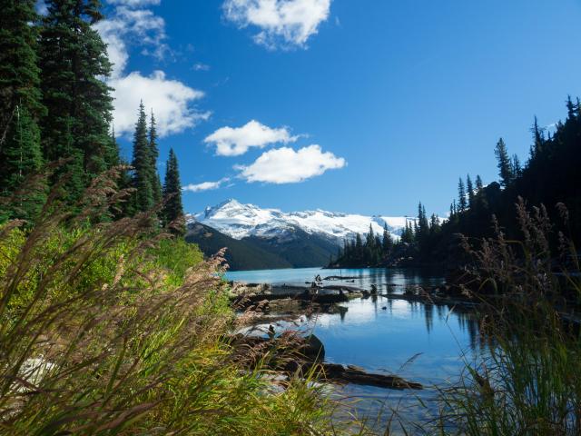 Garibaldi Lake Hike