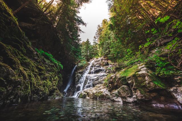 BIG CEDAR AND KENNEDY FALLS TRAIL