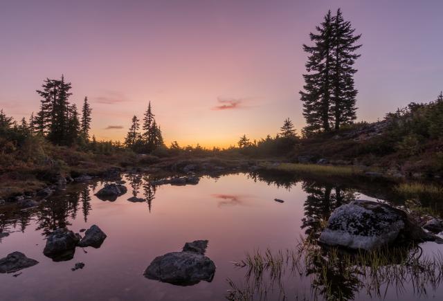 Mount Seymour