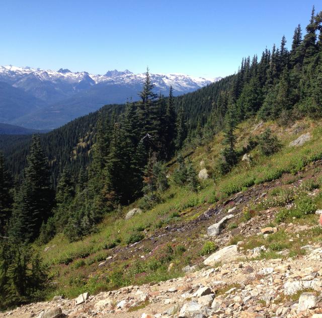 Half Note Trail