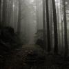 Mount Seymour