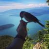 Howe Sound Crest Trail