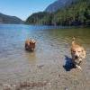Buntzen Lake