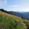 Mt.Cheam