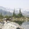 Brew Lake trail