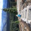 alpine meadows