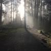 Houston Trail