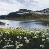 Brew lake