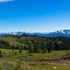 Heather Trail