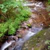 North Fork loop Trail - Cliff Falls