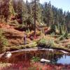 Edwards Lake trail