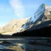 Berg lake trail