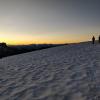 Gentian Ridge