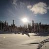 Mount Seymour Snowshoe Trail
