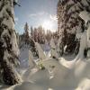 Mount Seymour Snowshoe Trail