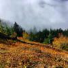 Elk Mountain