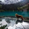 Joffre Lake Provincial Park
