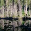 Buntzen Lake Loop