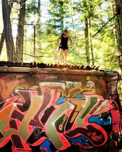Whistler Train Wreck
